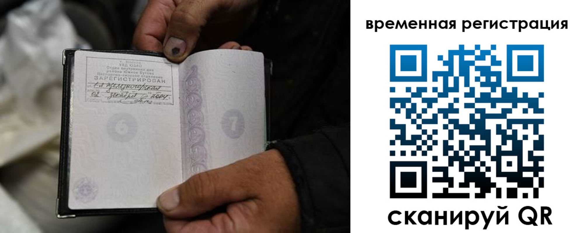прописка поиск в Шлиссельбурге